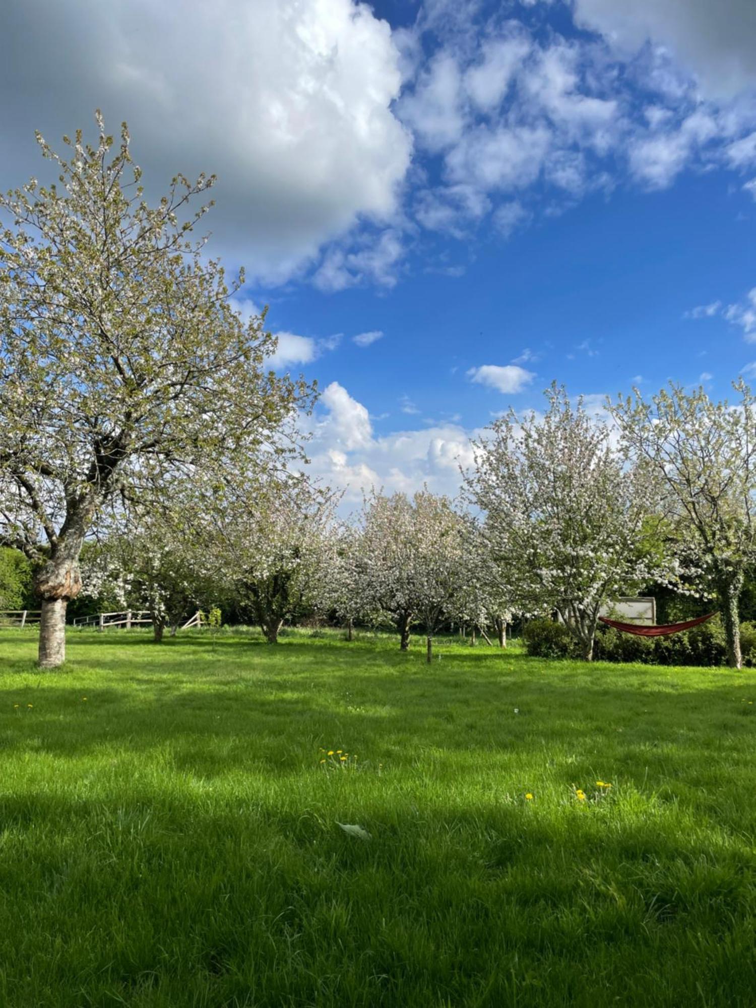 Gite A La Campagne Le Mesnil-Villeman Exterior photo